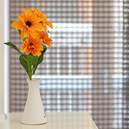 Antica Macina Appartement *